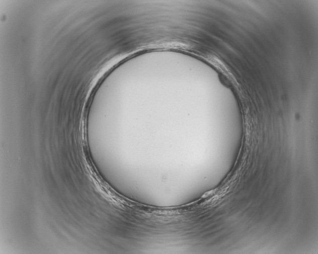 X0000053061044200508081149