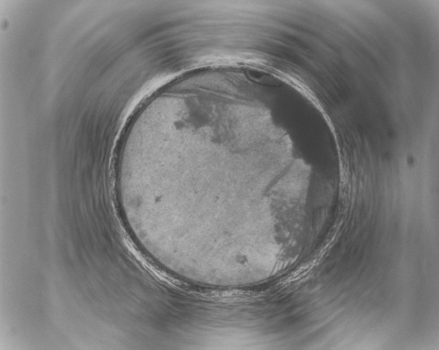 X0000053061045200508081149