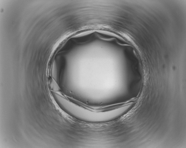 X0000053061046200508081149