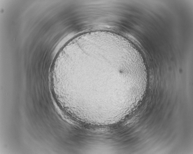 X0000053061047200508081149