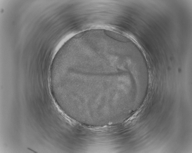 X0000053061048200508081149