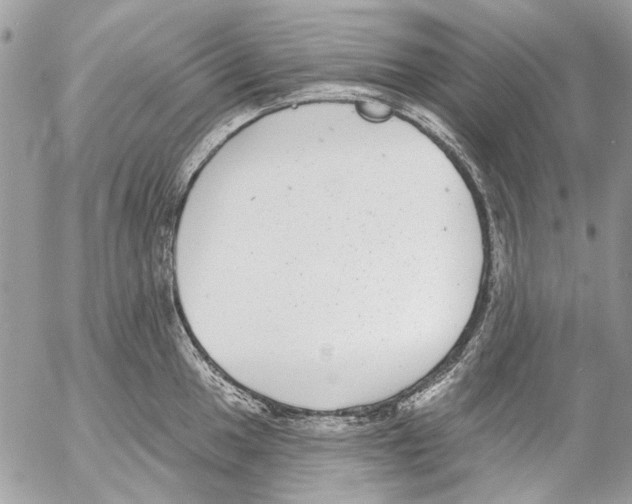 X0000053061049200508081149