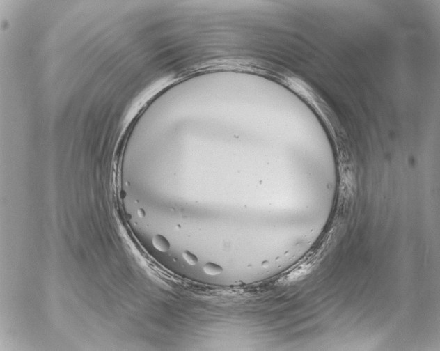 X0000053061050200508081149