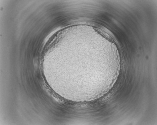 X0000053061051200508081149