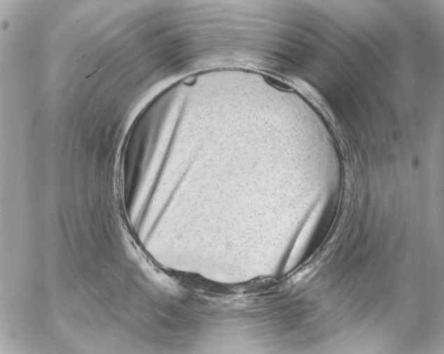 X0000053061052200508081149