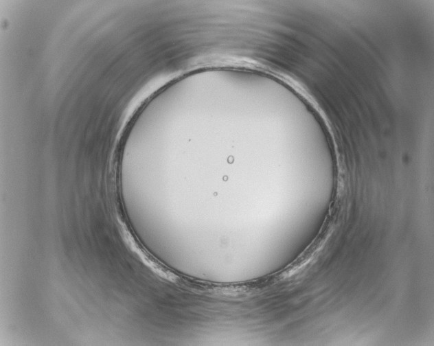 X0000053061053200508081149