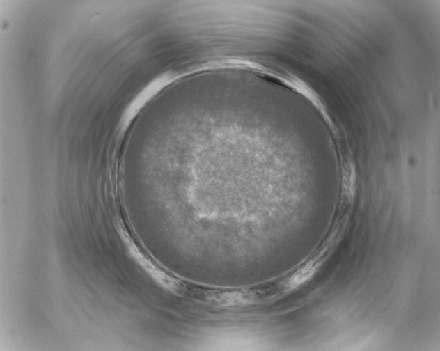 X0000053061054200508081149