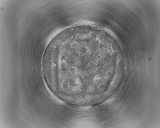 X0000053061055200508081149