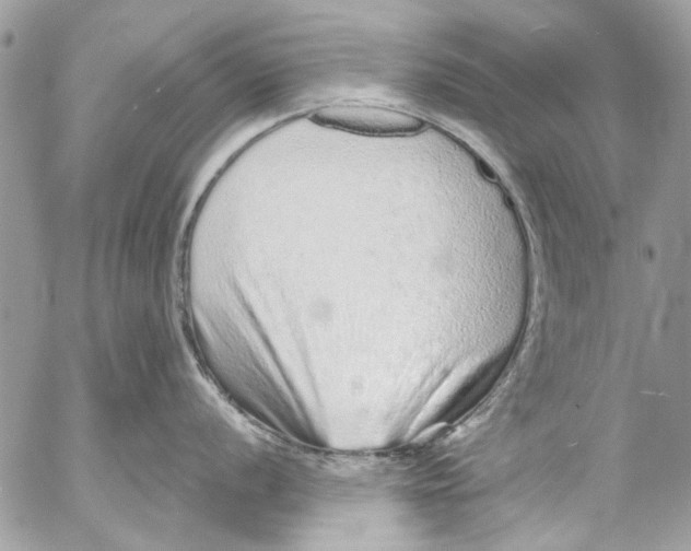 X0000053061056200508081149