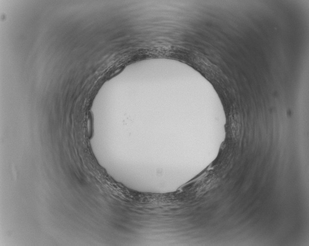 X0000053061057200508081148