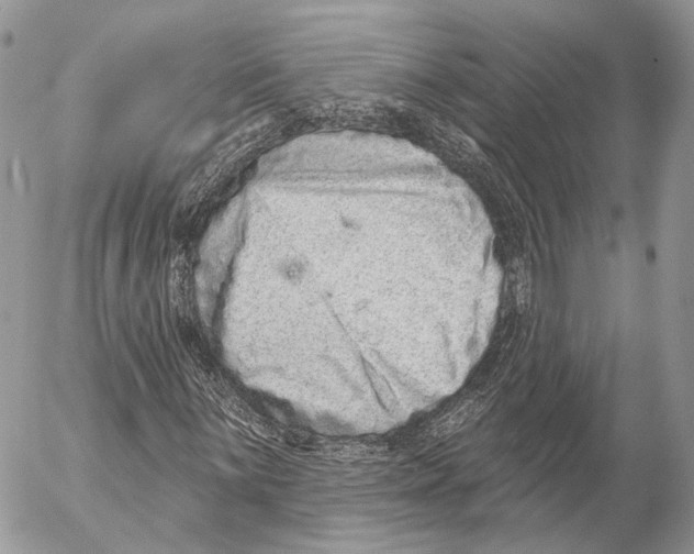 X0000053061059200508081148