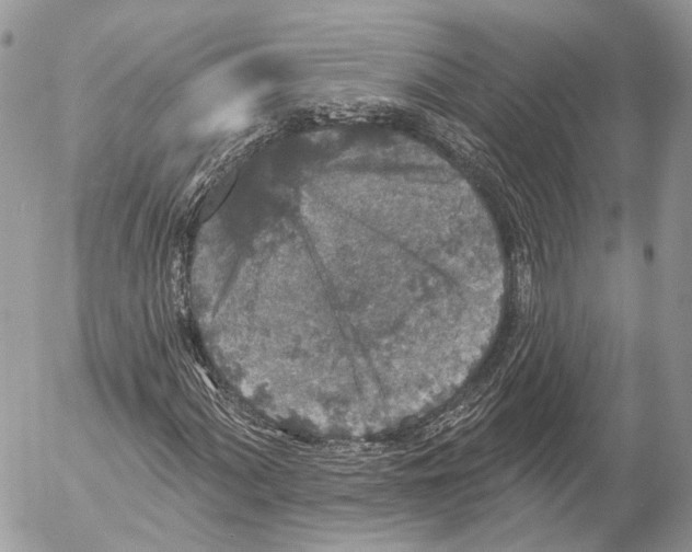 X0000053061060200508081148