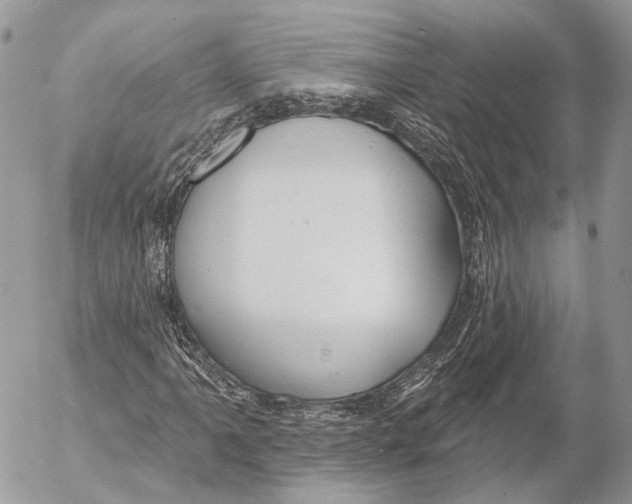 X0000053061061200508081148