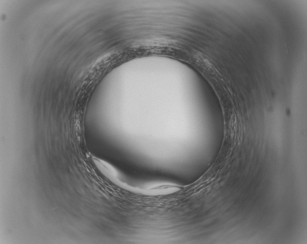 X0000053061062200508081148