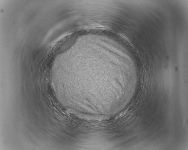 X0000053061063200508081148