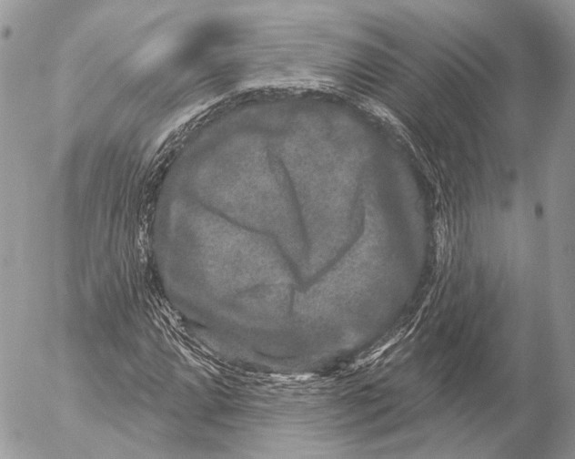 X0000053061064200508081148