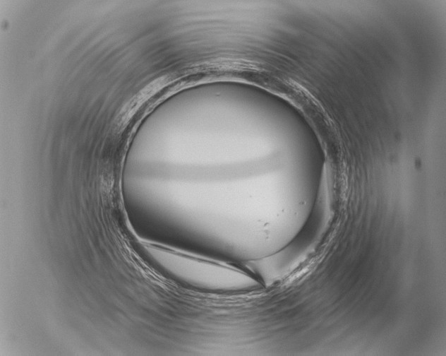 X0000053061065200508081148