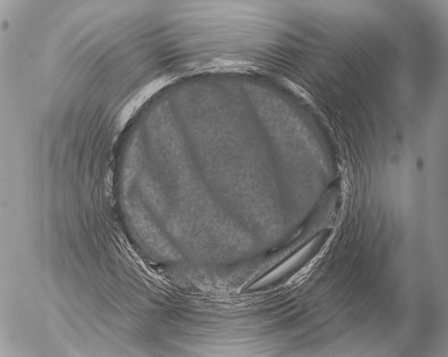 X0000053061066200508081148