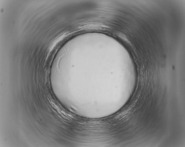 X0000053061067200508081148