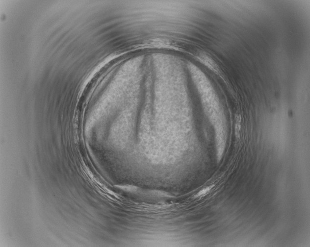 X0000053061068200508081148