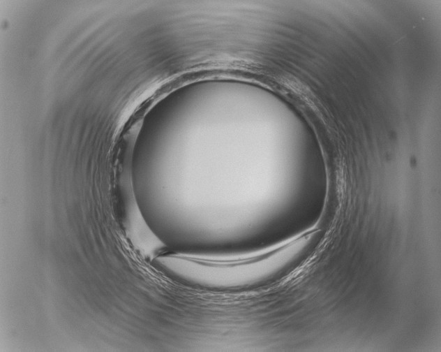 X0000053061069200508081148