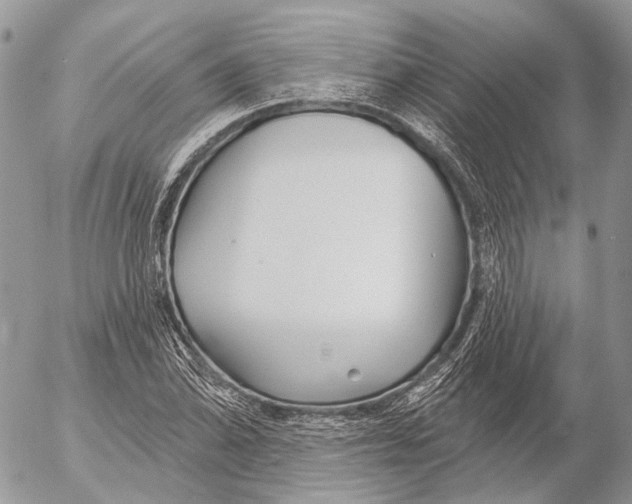 X0000053061070200508081148