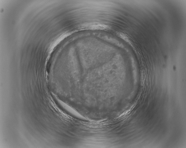 X0000053061071200508081148