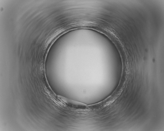 X0000053061073200508081148