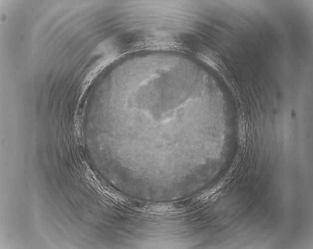 X0000053061074200508081148