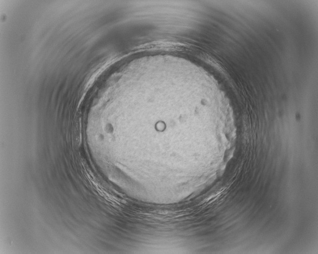 X0000053061075200508081148