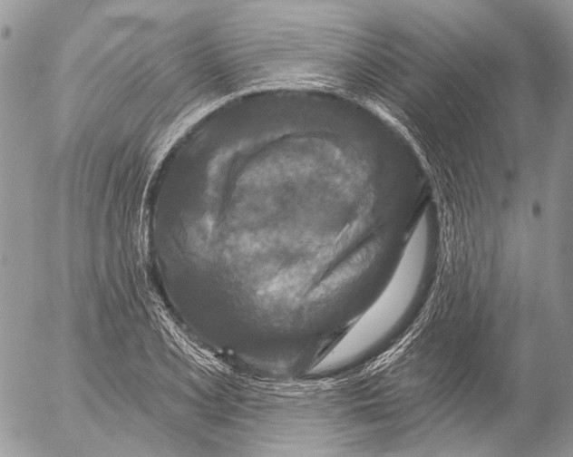 X0000053061077200508081148