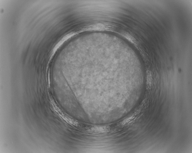 X0000053061078200508081148