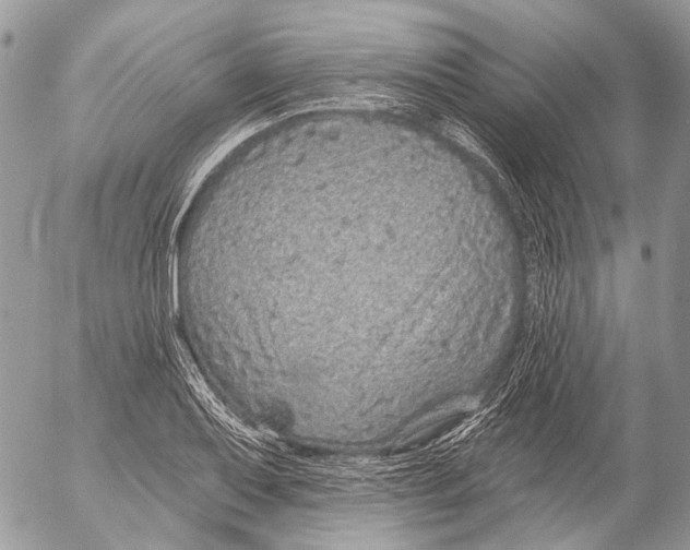 X0000053061079200508081148