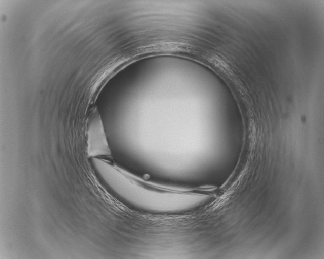 X0000053061081200508081148