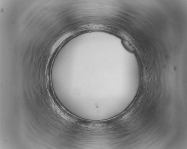 X0000053061082200508081148