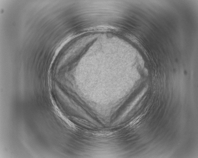 X0000053061083200508081148