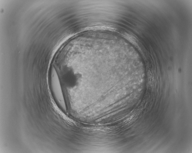 X0000053061084200508081148