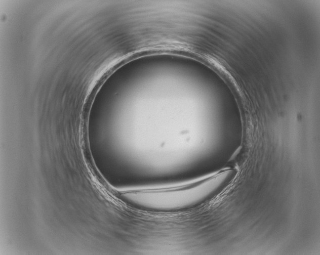 X0000053061085200508081148