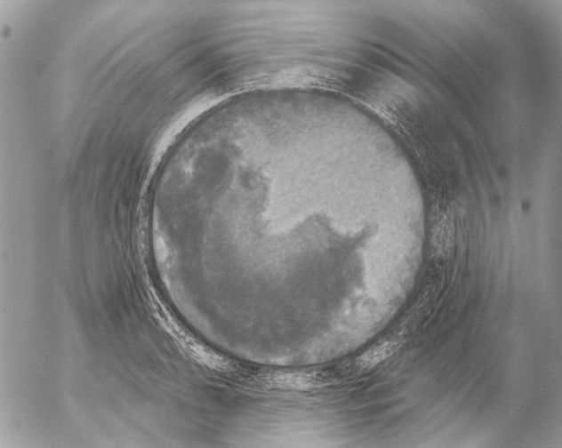 X0000053061086200508081148