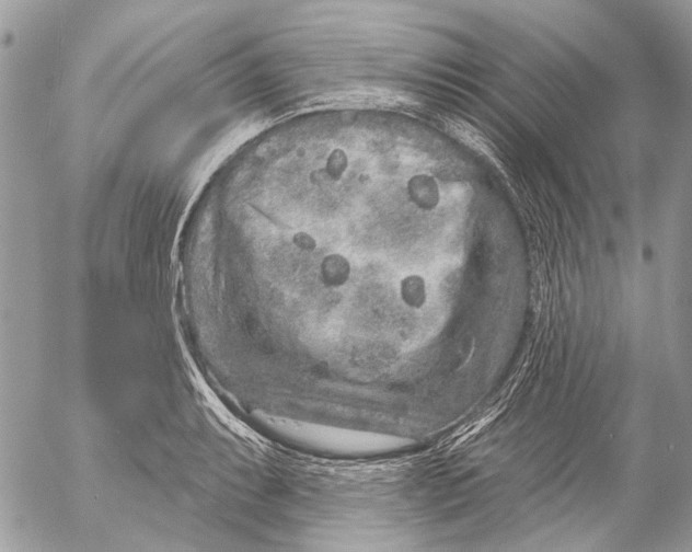 X0000053061087200508081148