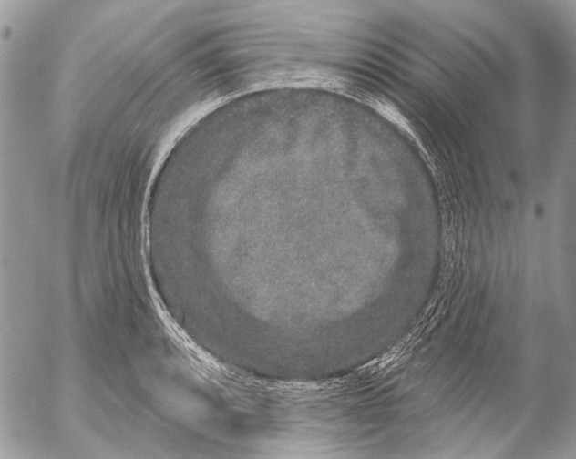 X0000053061088200508081148