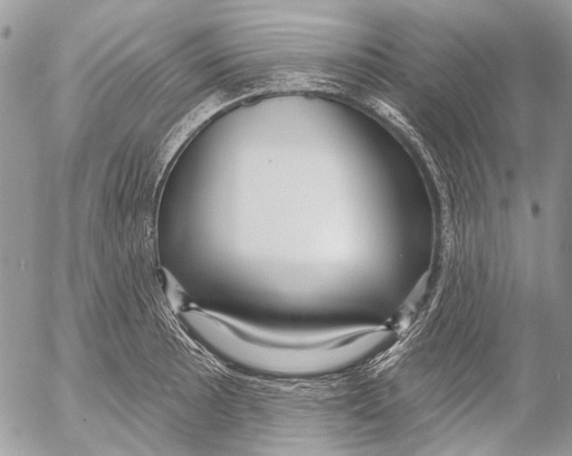 X0000053061089200508081148