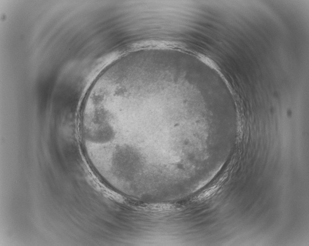 X0000053061090200508081148