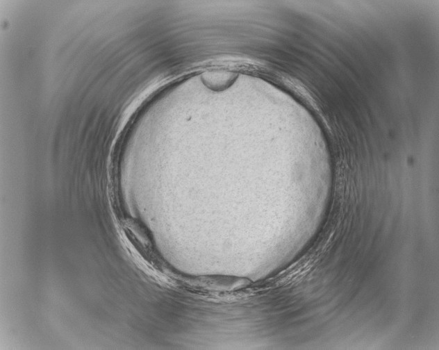 X0000053061091200508081148