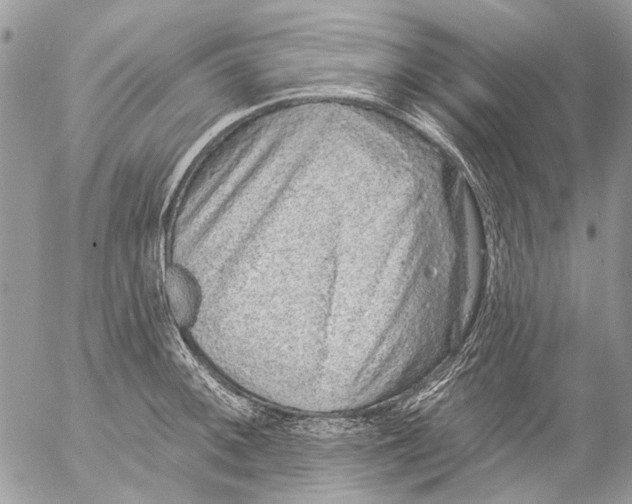 X0000053061092200508081148