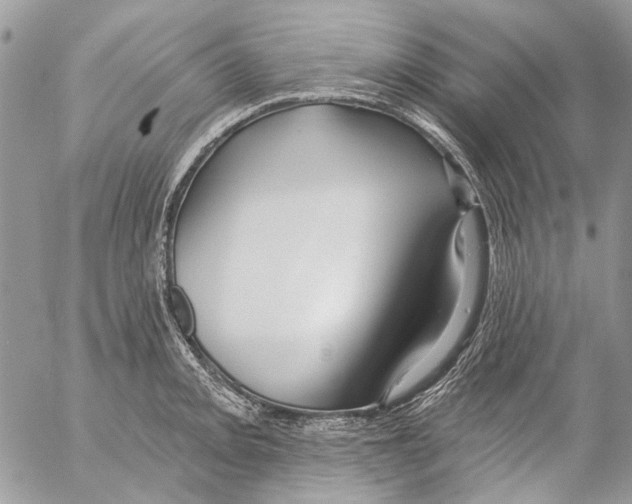 X0000053061093200508081148