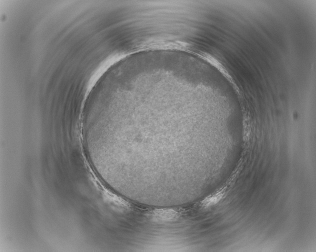 X0000053061094200508081148