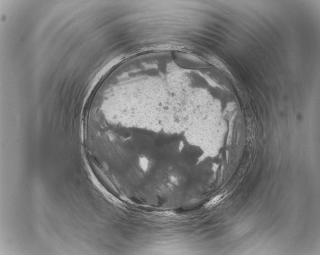 X0000053061095200508081148