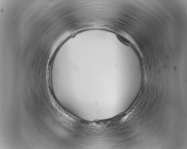 X0000053061096200508081148