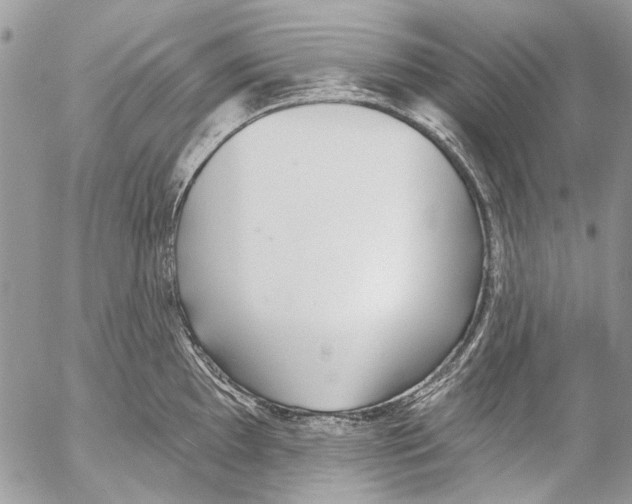 X0000053061097200508081148